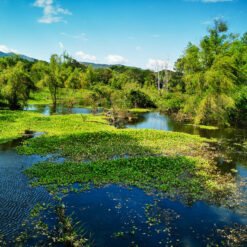 Rio Cauca